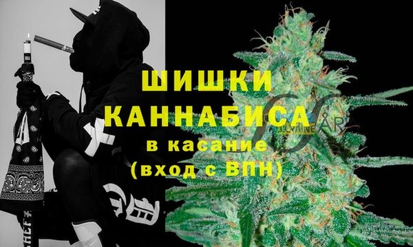 гашик Покровск