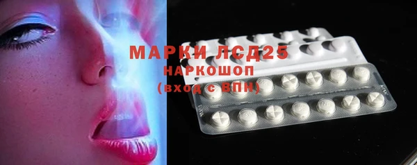 гашик Покровск