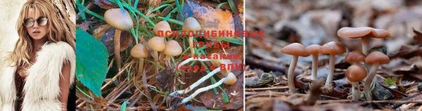 кристаллы Покров