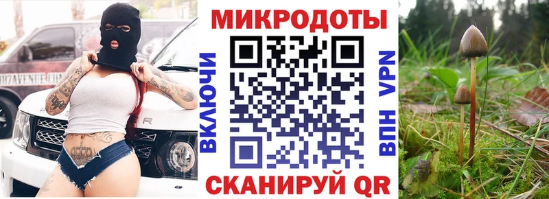 Псилоцибиновые грибы ЛСД  Кирсанов 