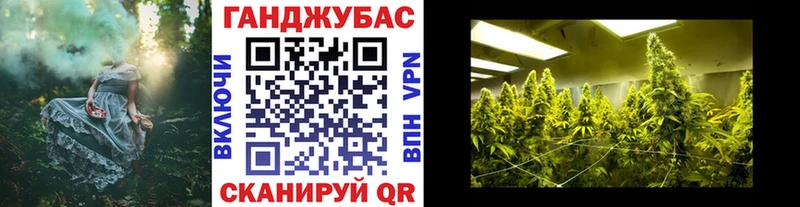 Канабис SATIVA & INDICA  Кирсанов 